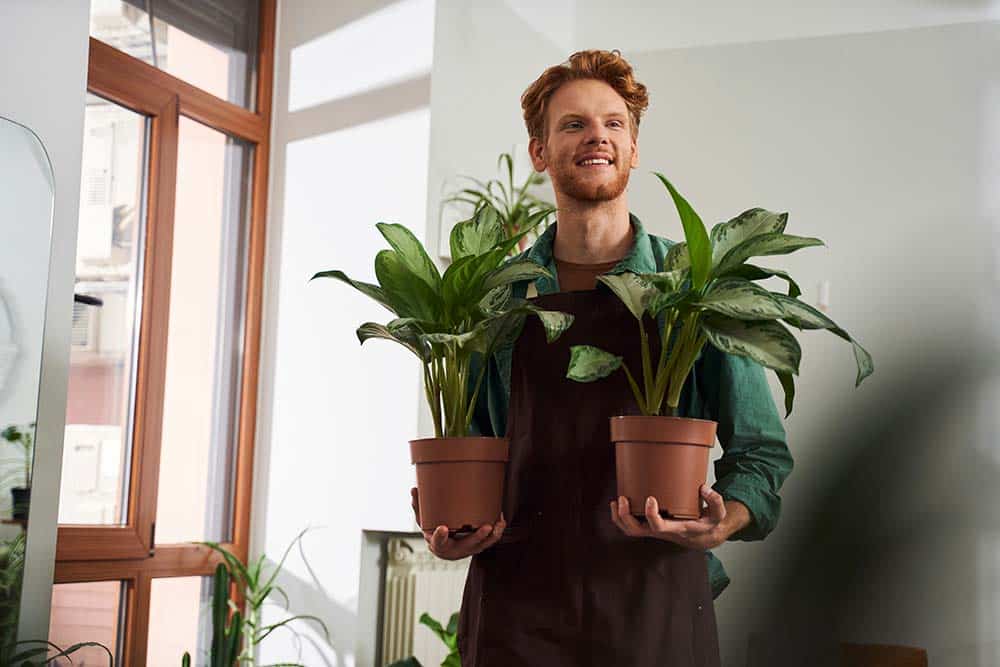 handsome red head florist holding plants