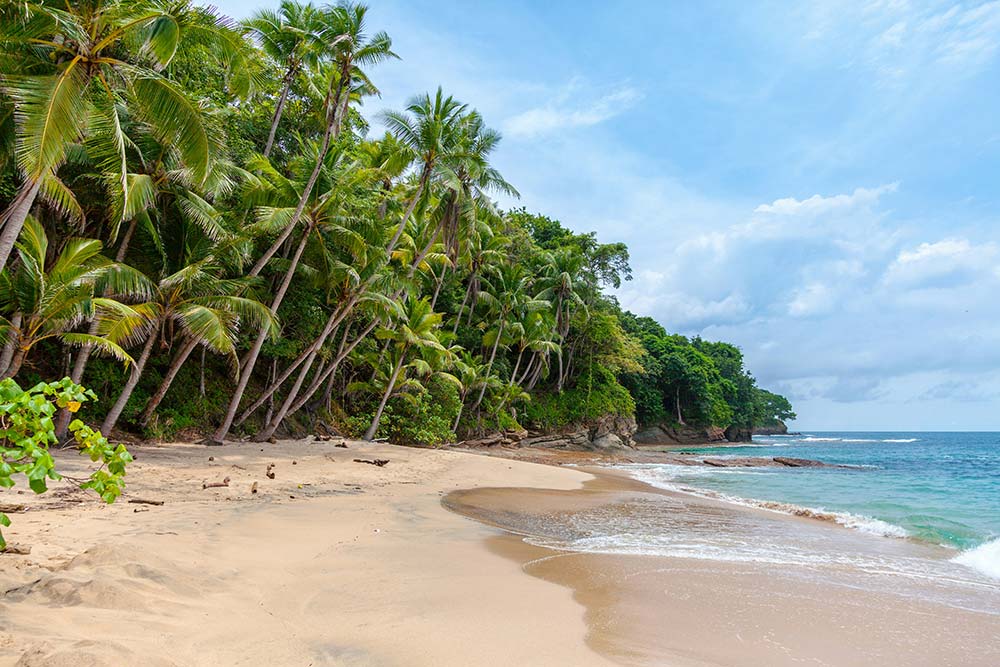 seashore landscape under cumulus clouds