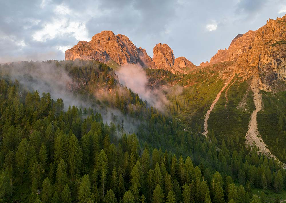 Mountain range with trees in the foreground